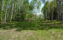 Michigan Avenue, White Pine, MI 49971