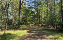 11338 Monterey Rd, Eads, TN 38028