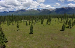 375 Remicks Road, Condon, MT 59826