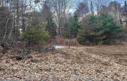 Hodge Hill Road lot: 58, Lisbon, NH 03585