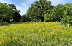 137 CR, Cisco, TX 76437