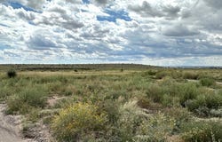 1850 Rabbit Rd, Marfa, TX 79843