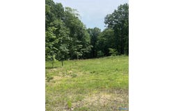 42 Watson Grande Way, Owens Cross Roads, AL 35763