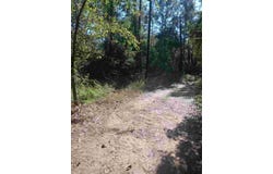 24282 Marshburn Drive, Magnolia, TX 77447