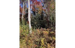 TBD41 Iron Belle Trail, Covington, MI 49919