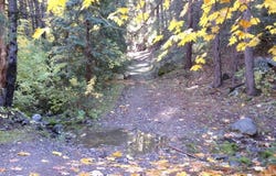 TCZ McAdams Ck Rd, Fort Jones, CA 96032