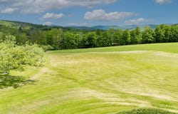 2607 Lower Dingle Hill Road, Andes, NY 13731