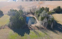 Hwy 37, Quitman, TX 75783