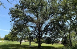 1049 Industrial Boulevard, Point, TX 75472