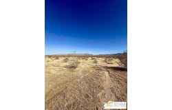 101 2 Mile Rd, Twentynine Palms, CA 92277