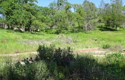 Incline, Oroville, CA 95966