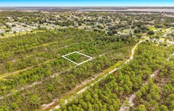 443 PARROT Avenue, SEBRING, FL 33870