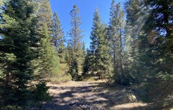 3-C-23 Fumarole Dr, McCloud, CA 96057