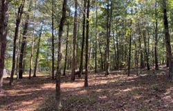 1535 Klondike Road, Clinton, AR 72031