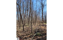 VL Cliffmont Drive, Mancelona, MI 49659