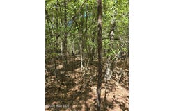 Partridge Town Rd, Lincolnton, GA 30817