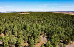 Pine ridge road, Moorcroft, WY 82721