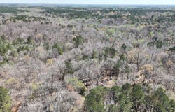 Pace Rd, Hamilton, MS 39746
