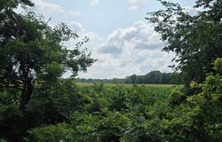 13 Mile Rd (parcel 5), Burlington, MI 49029