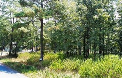 252 Split Paddle Lane, Broken Bow, OK 74728