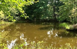 11560 S Highway 68, St James, MO 65559