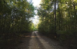 Tract 2-TBD Hempstead 272, McCaskill, AR 71847