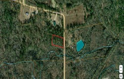 1 ACRE Walter Phillips Road, Hazlehurst, GA 31539