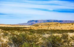 14192 La Luna Rd, Terlingua, TX 79852