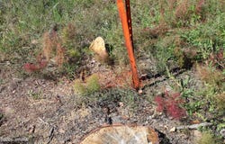 004T Elk Trail, Show Low, AZ 85901