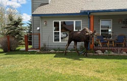 330 MEADOWOOD Street, Pinedale, WY 82941