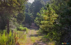 Stiewert Lane, Paige, TX 78659
