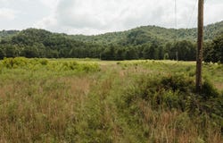 2974 E Fork Road, Means, KY 40346