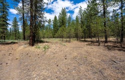 2300 EAGLE RIVER Way, KETTLE FALLS, WA 99141