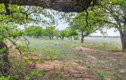 1034 County Road 207, Ovalo, TX 79541