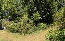214 2ND Avenue, QUANTICO, VA 22134