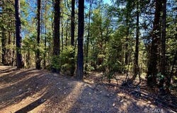 1200 Pine Forest Dr, Hayfork, CA 96041