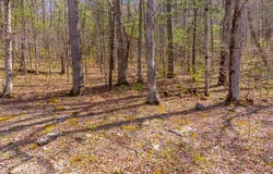 306 Cedar Creek Farm Rd, Tuckasegee, NC 28783