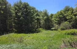 5 Goose River Estates, Swanville, ME 04915