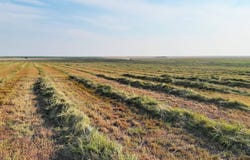 Road, Sharon Springs, KS 67758