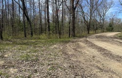 S Shepperd Road, Branch, MI 49402