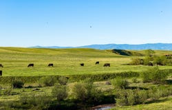 00 Rancho Tehama Road, Red Bluff, CA 96021