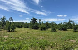 Tract 2 FM 114, DeKalb, TX 75559
