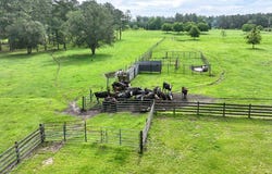 4224 Bee Line Road, Coolidge, GA 31738