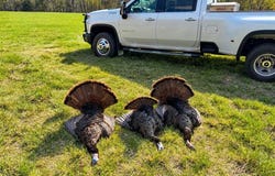 160 Highway N, Stover, MO 65078