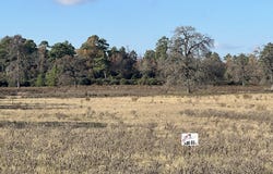 Pr 1315, Centerville, TX 75833