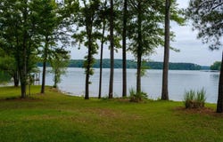 148 SUNNY Ln, Arley, AL 35541