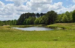 273 Vincetown Road, Sandy Hook, MS 39478