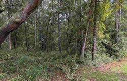 1400 BLK Oak Bend Trl, Cantonment, FL 32533