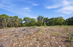 TBD (Tract 3) Riva Ridge Dr, Leander, TX 78641