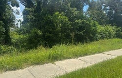 CR 250 lot: 5-6, Dowling Park, FL 32060